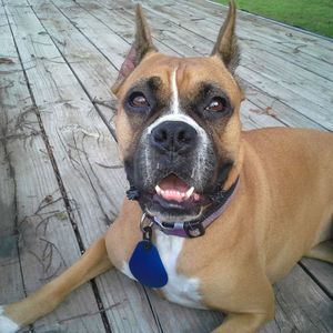 Meet your Posher, Larry